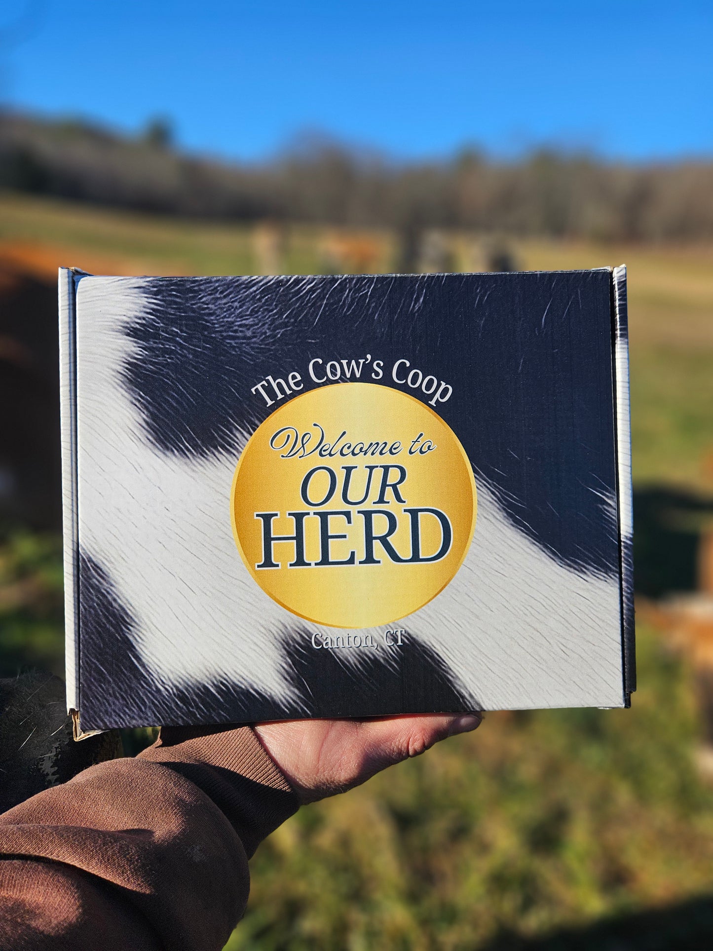 "Join the Herd" Cow Box!