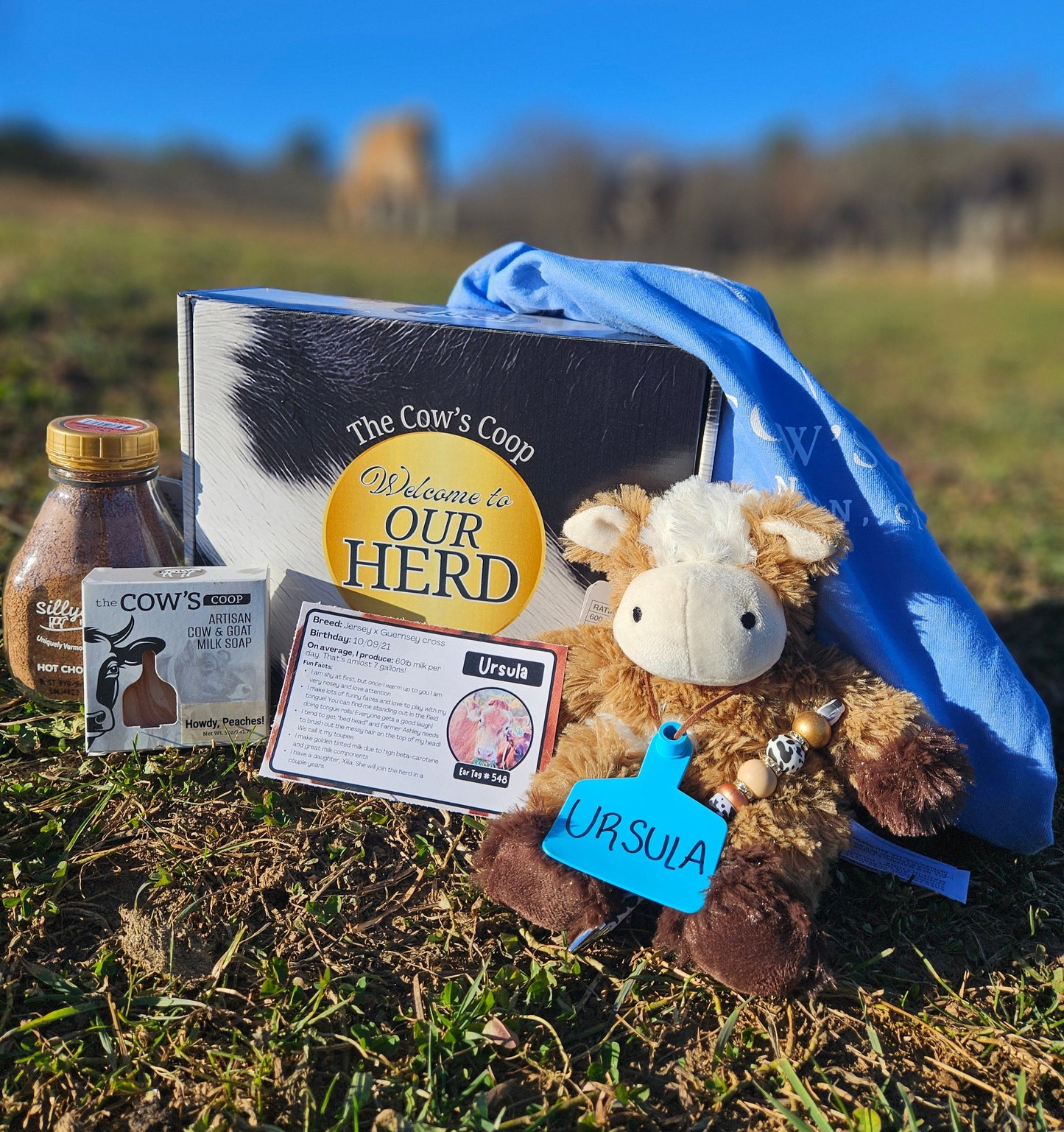 "Join the Herd" Cow Box!
