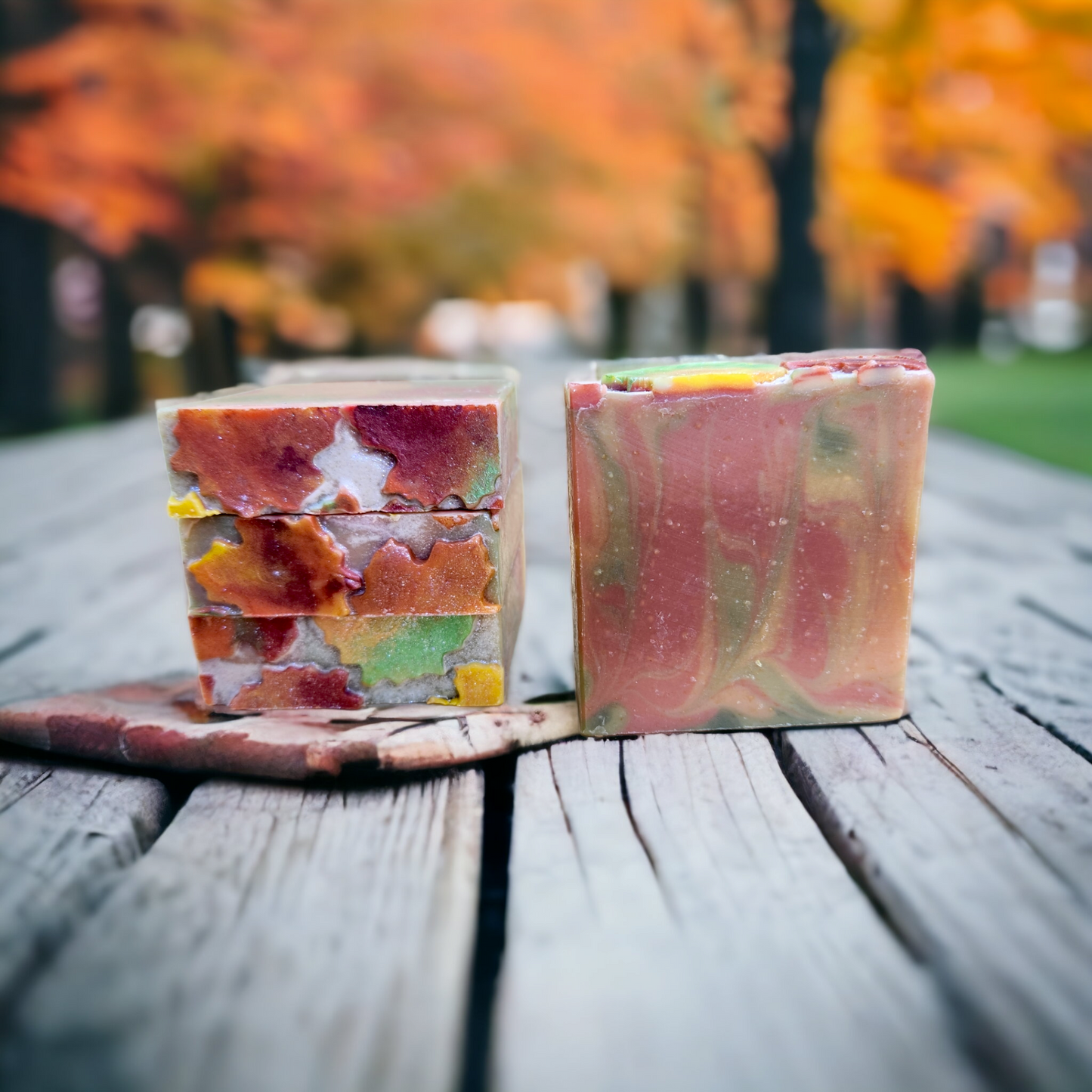 Fallen Leaves (Mulled Cider and Woods) - Cow and Goat Milk Soap