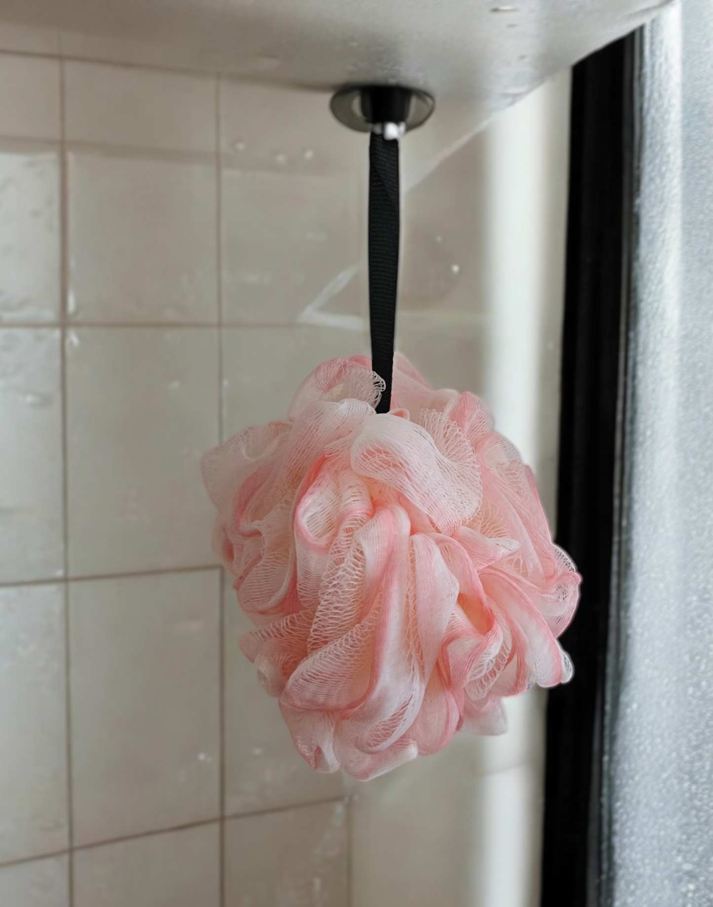 Shower Loofah