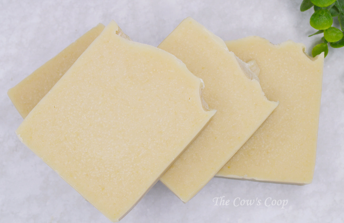 Plain Old Fashioned (Unscented) - Goat Milk Soap