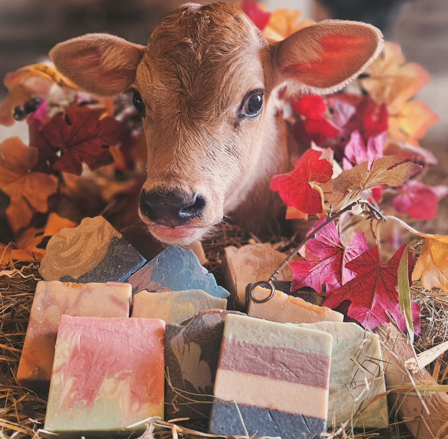 Autumn Woods & Harvest Fall Collection