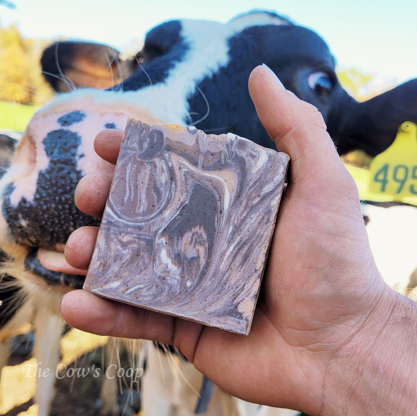 Cows Got Out! (Vanilla and Woods) - Cow Milk Soap